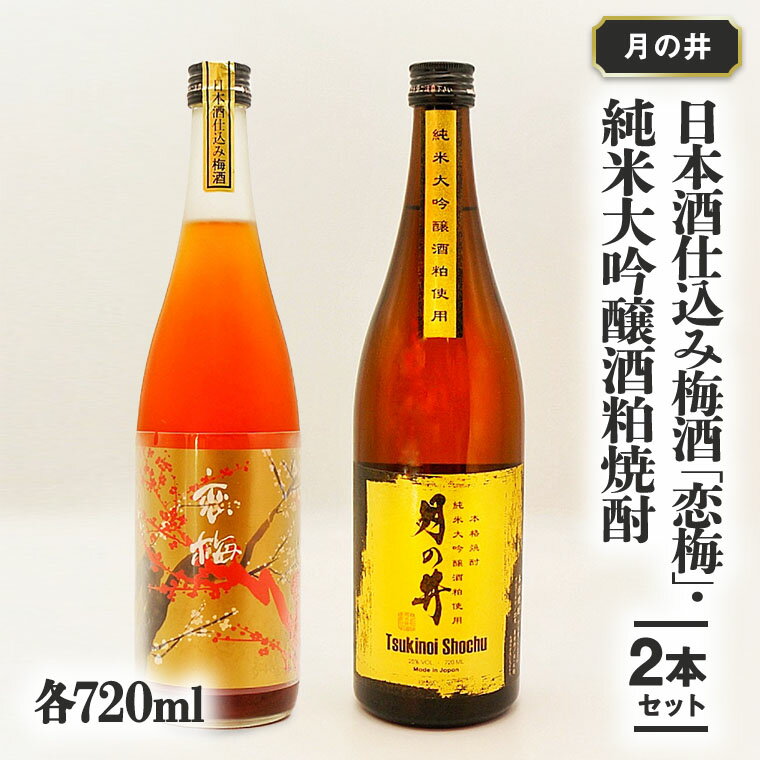 日本酒 仕込 梅酒 恋梅720ml 純米大吟醸 酒粕 焼酎 720ml 2本 セット 酒粕焼酎 国産梅 月の井 大洗 地酒 茨城