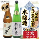 【ふるさと納税】純米酒 やれば出来る桂利奈 720ml 本醸造 720ml 2本 セット ガルパン コラボ ガールズ＆パンツァー 月の井 大洗 地酒 日本酒 茨城