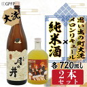 18位! 口コミ数「0件」評価「0」純米酒 720ml メロン リキュール ガルパン コラボ 720ml 2本 セット 大洗 地酒 日本酒 茨城 ガールズ ＆ パンツァー