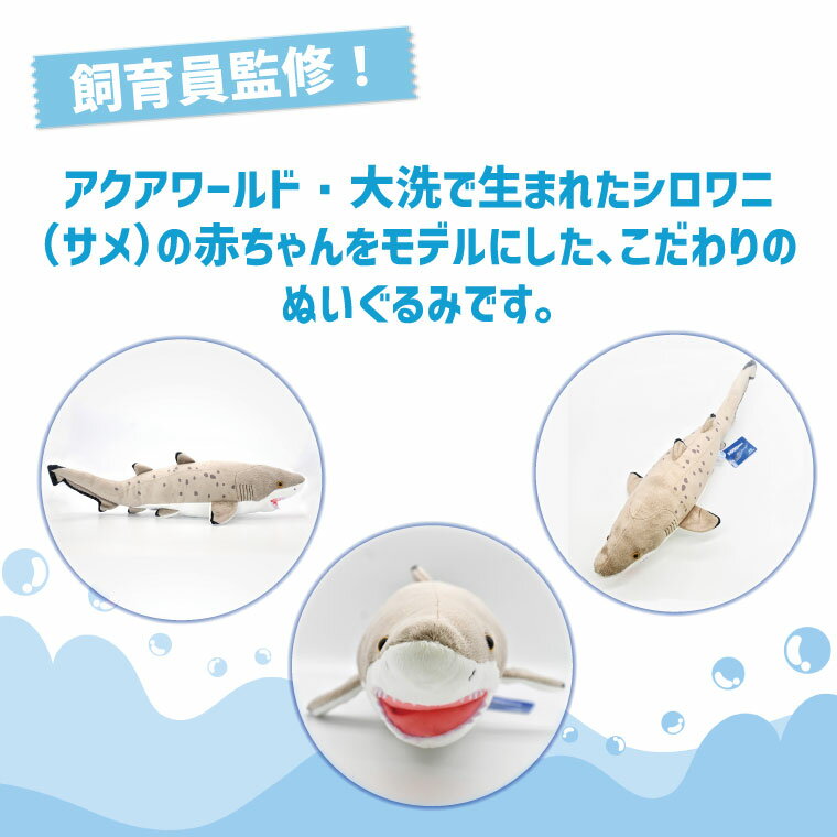 【ふるさと納税】ぬいぐるみ シロワニ アクアワールド 大洗 オリジナル グッズ 茨城 水族館 サメ シロワニ赤ちゃんぬいぐるみ サメ Mサイズ 限定