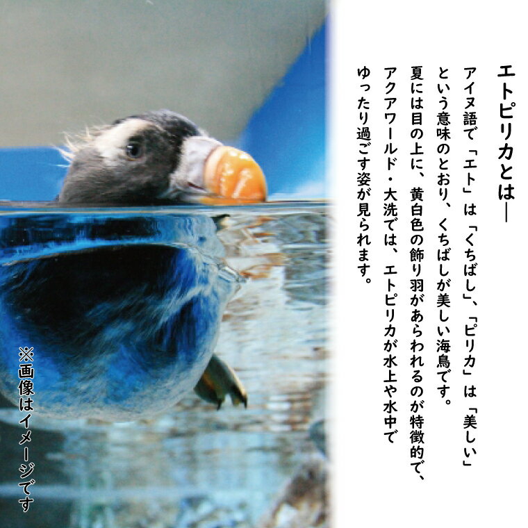 【ふるさと納税】エトピリカ トートバッグ アクアワールド 大洗 水族館 茨城 グッズ オリジナル 限定 自然 素材 A4 サイズ ナチュラル トート えとぴりか 海 鳥