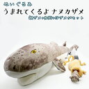 ぬいぐるみ ナヌカザメ アクアワールド 大洗 オリジナル サメ 親子 グッズ 茨城 水族館 さめ 鮫 限定