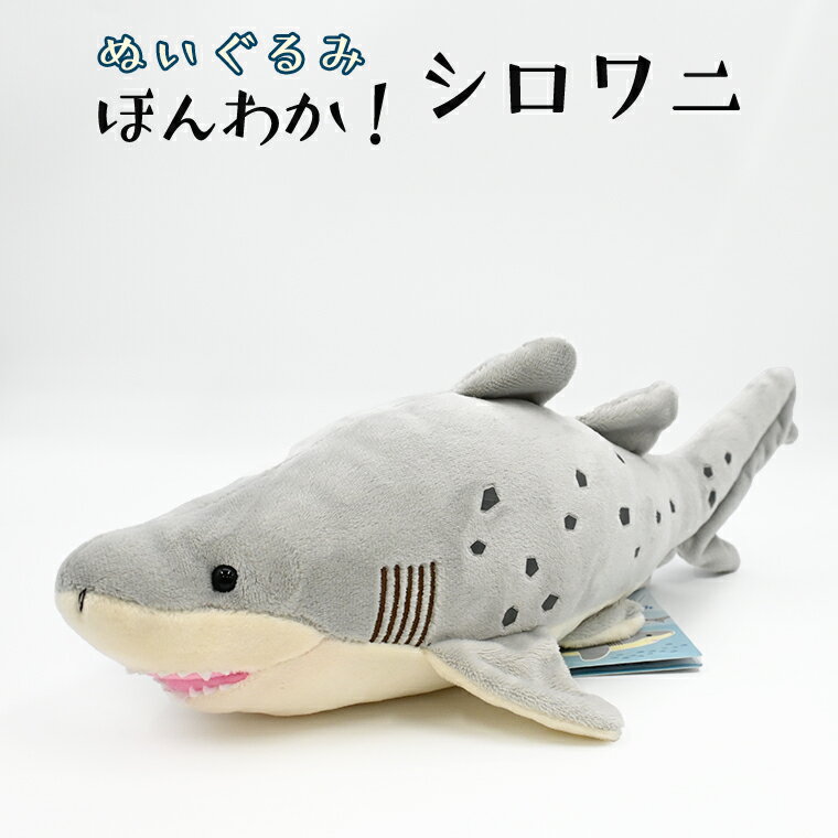 【ふるさと納税】ぬいぐるみ シロワニ アクアワールド 大洗 オリジナル サメ グッズ 茨城 水族館 さめ 鮫 限定のサムネイル