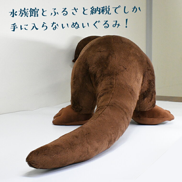 【ふるさと納税】ぬいぐるみ カワウソ XL アクアワールド 大洗 オリジナル グッズ 特大 120cm 茨城 水族館 カナダカワウソ かわうそ 限定