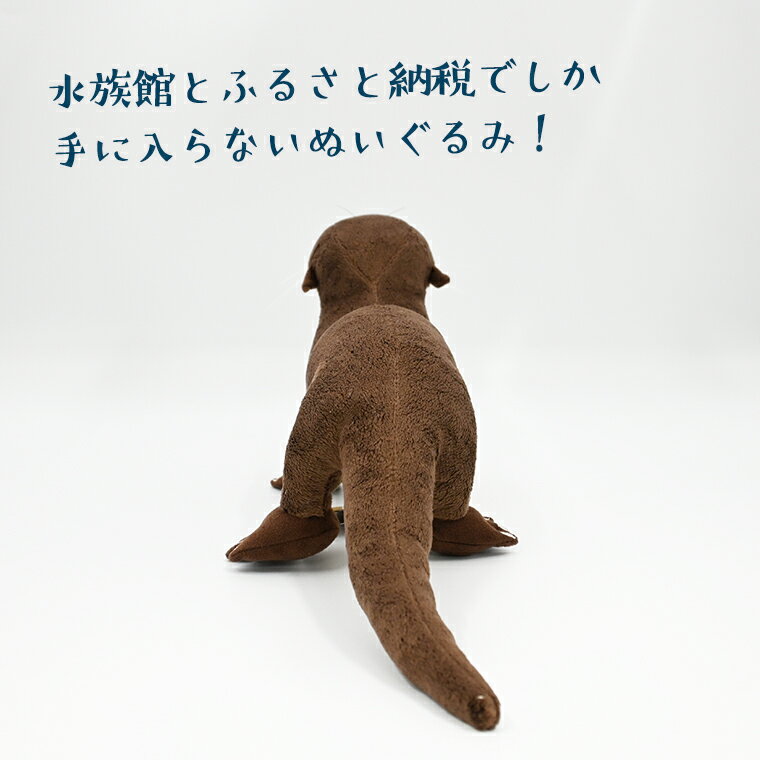 【ふるさと納税】ぬいぐるみ カワウソ アクアワールド 大洗 オリジナル グッズ 茨城 水族館 カナダカワウソ かわうそ 限定