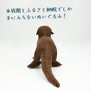 茨城県大洗町の画像2