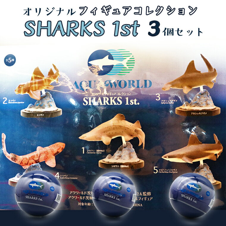 2位! 口コミ数「0件」評価「0」オリジナル フィギュア SHARKS 1st 3個 セット アクアワールド 大洗 飼育員 監修 オリジナル グッズ コレクション 茨城 水族･･･ 