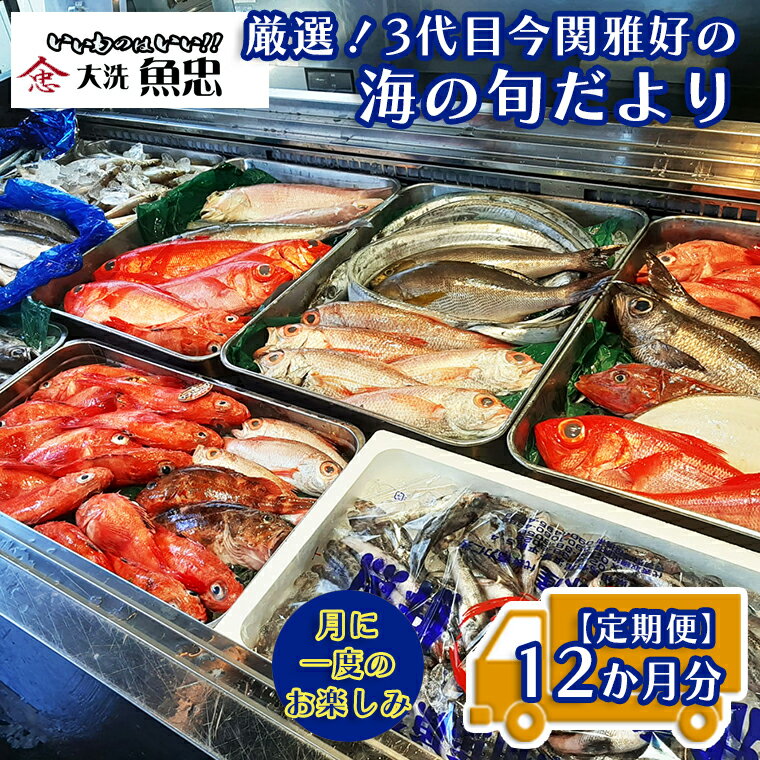 2位! 口コミ数「0件」評価「0」定期便 12ヶ月 鮮魚店「魚忠」 厳選鮮魚セット 大洗 厳選 旬 魚 さかな