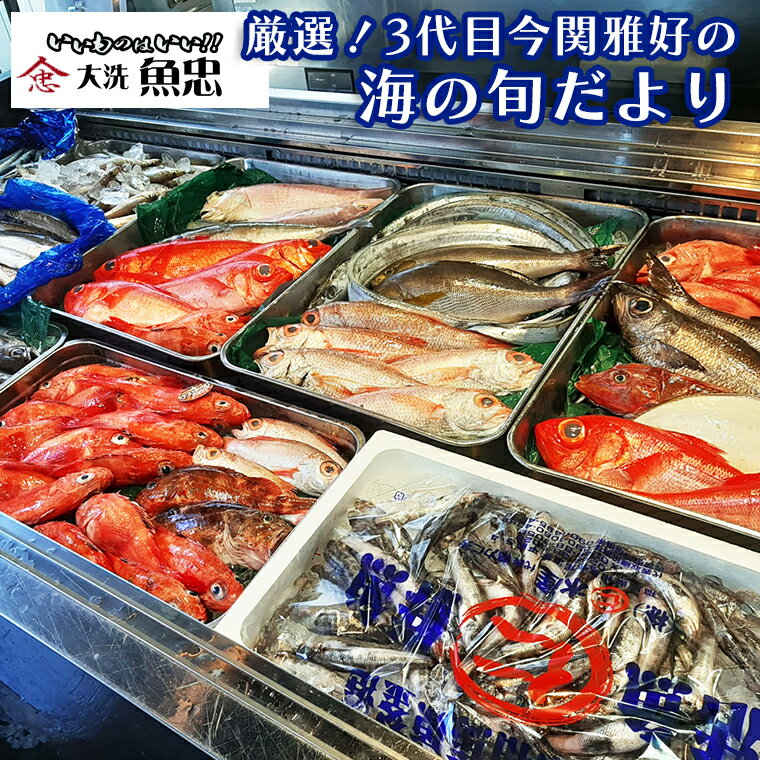 17位! 口コミ数「0件」評価「0」鮮魚店「魚忠」 厳選鮮魚セット 大洗 厳選 旬 魚 さかな