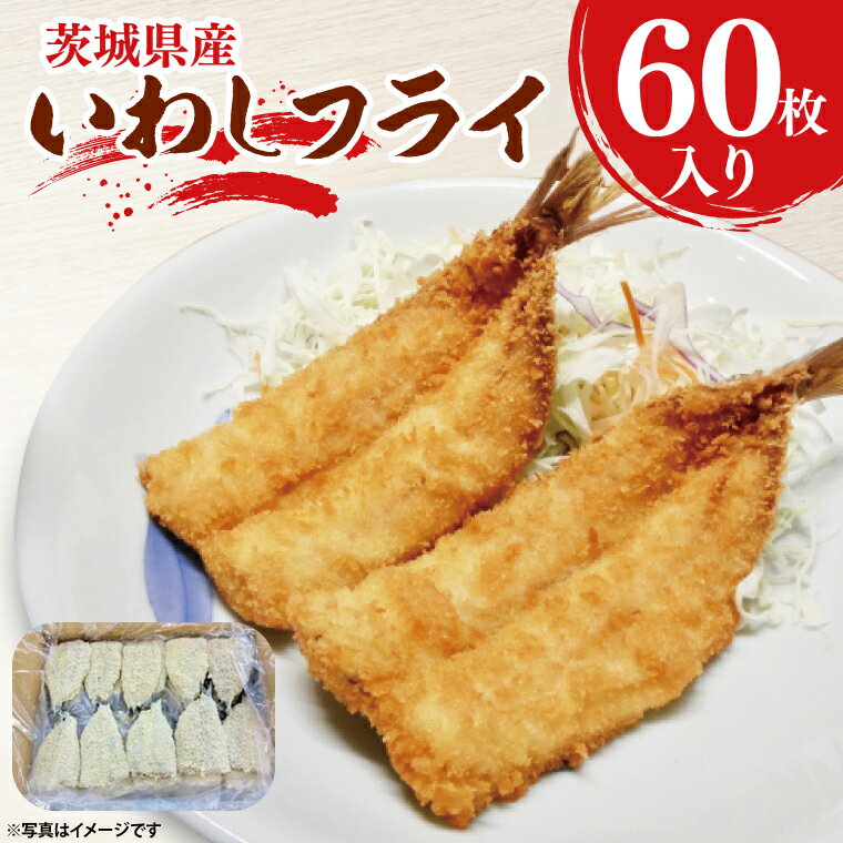 ڤդ뤵Ǽǡۤ路ե饤 60 路 ե饤  ں 亮  Ȥʪ  ں Ĥޤ   Į 