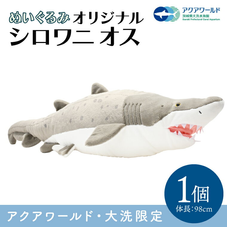 【ふるさと納税】ぬいぐるみ オリジナル シロワニ オス 1体 アクアワールド 大洗 限定 グッズ 水族館 さめ サメ 鮫