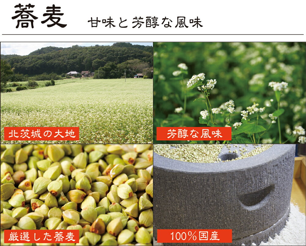 【ふるさと納税】＜ギフト熨斗対応＞ 常陸秋そば 手打ち 生蕎麦 6人前 かき揚げ付 国産 生 そば 蕎麦 ギフト 寿多庵