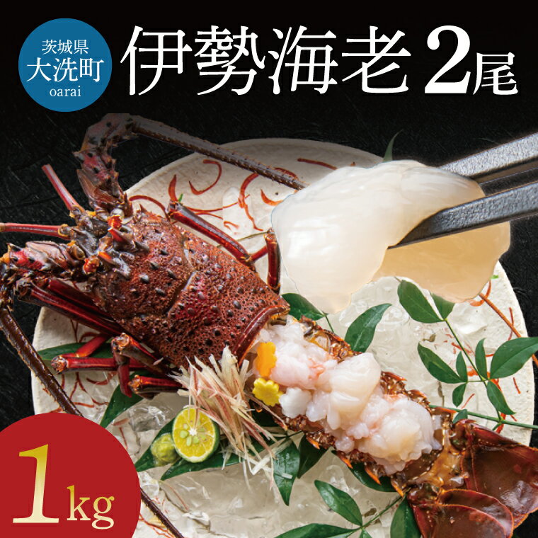 生冷凍 伊勢海老 2尾 1kg 冷凍 国産 伊勢エビ イセエビ いせえび 海老 エビ えび おせち 刺身 焼き物 味噌汁