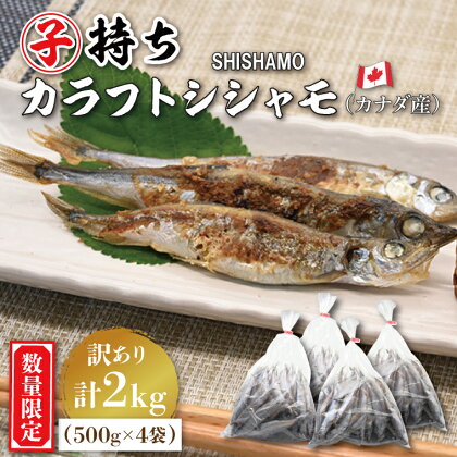 【数量限定！】 子持ち カラフトシシャモ 2kg (500g×4袋) 訳アリ シシャモ ししゃも カラフトししゃも 大洗 規格外 訳あり わけあり 傷 すぐ発送