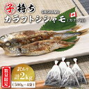 【ふるさと納税】 【数量限定 】 子持ち カラフトシシャモ 2kg 500g 4袋 訳アリ シシャモ ししゃも カラフトししゃも 大洗 規格外 訳あり わけあり 傷 すぐ発送