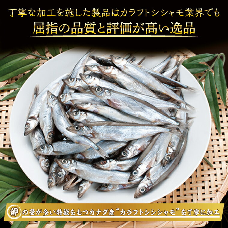 【ふるさと納税】 【数量限定！】 子持ち カラフトシシャモ 2kg (500g×4袋) 訳アリ シシャモ ししゃも カラフトししゃも 大洗 規格外 訳あり わけあり 傷 すぐ発送