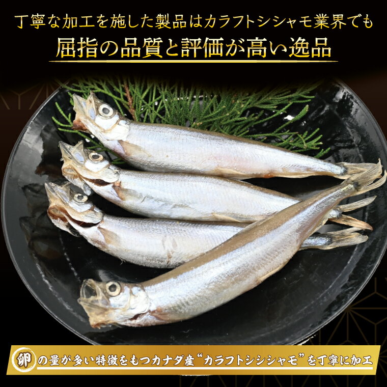 【ふるさと納税】 ししゃも雄雌食べ比べ 2kg セット 訳アリ シシャモ ししゃも カラフトししゃも 大洗 規格外 訳あり わけあり 傷 すぐ発送