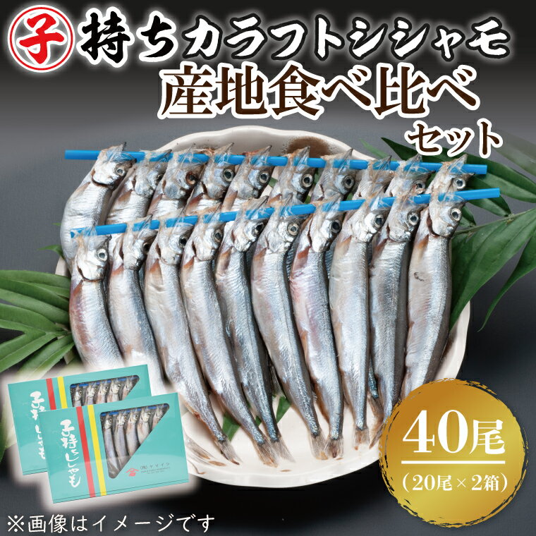 17位! 口コミ数「0件」評価「0」子持ちカラフトシシャモ産地食べ比べセット40尾（20尾×2箱） シシャモ ししゃも カラフトししゃも 大洗 カナダ産 アイスランド産 すぐ発･･･ 