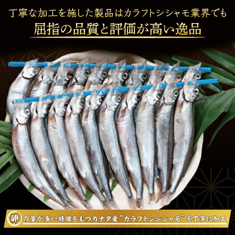 【ふるさと納税】子持ちカラフトシシャモ産地食べ比べセット40尾（20尾×2箱） シシャモ ししゃも カラフトししゃも 大洗 カナダ産 アイスランド産 すぐ発送