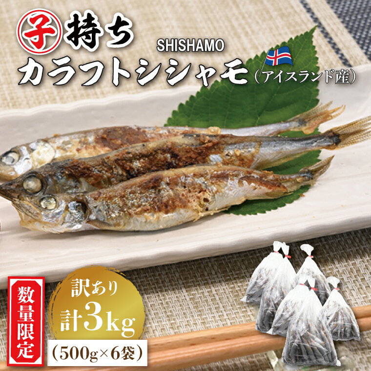 7位! 口コミ数「0件」評価「0」【数量限定！】 子持ち カラフトシシャモ 3kg (500g×6袋) 訳アリ シシャモ ししゃも カラフトししゃも 大洗 規格外 訳あり わ･･･ 