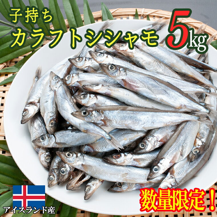 【ふるさと納税】 【数量限定】 子持ち カラフトシシャモ 5kg (500g×10袋) 訳アリ シシャモ ししゃも ...