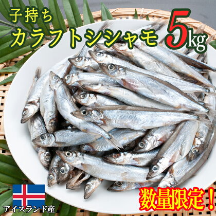 【数量限定】 子持ち カラフトシシャモ 5kg (500g×10袋) 訳アリ シシャモ ししゃも カラフトししゃも 大洗 規格外 訳あり わけあり 傷 ヤマイシ アイスランド産