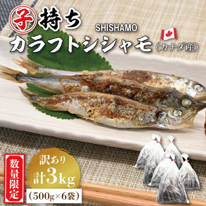 【数量限定！】 子持ち カラフトシシャモ 3kg (500g×6袋) 訳アリ シシャモ ししゃも カラフトししゃも 大洗 規格外 訳あり わけあり 傷 すぐ発送