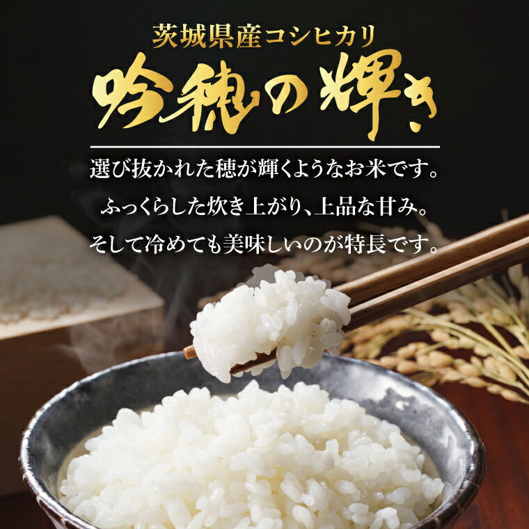 【ふるさと納税】【選べる内容量】＜令和7年産＞ 新米 コシヒカリ 2kg・4kg(2kg×2袋)・5kg・ 6kg(2kg×3袋) 精米 こしひかり 米 ごはん コメ お米 白米 国産 茨城県産