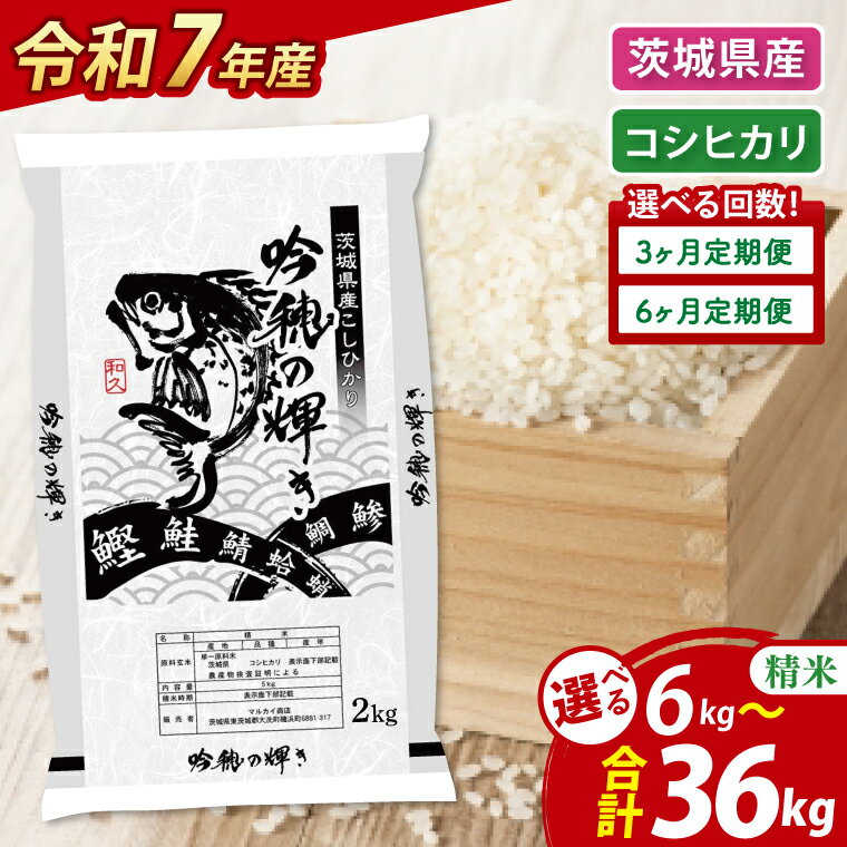 【ふるさと納税】【選べる定期便回数・内容量】 ＜令和7年産＞ 新米 コシヒカリ 精米 こしひかり 米 ごはん コメ お米 白米 国産 茨城県産