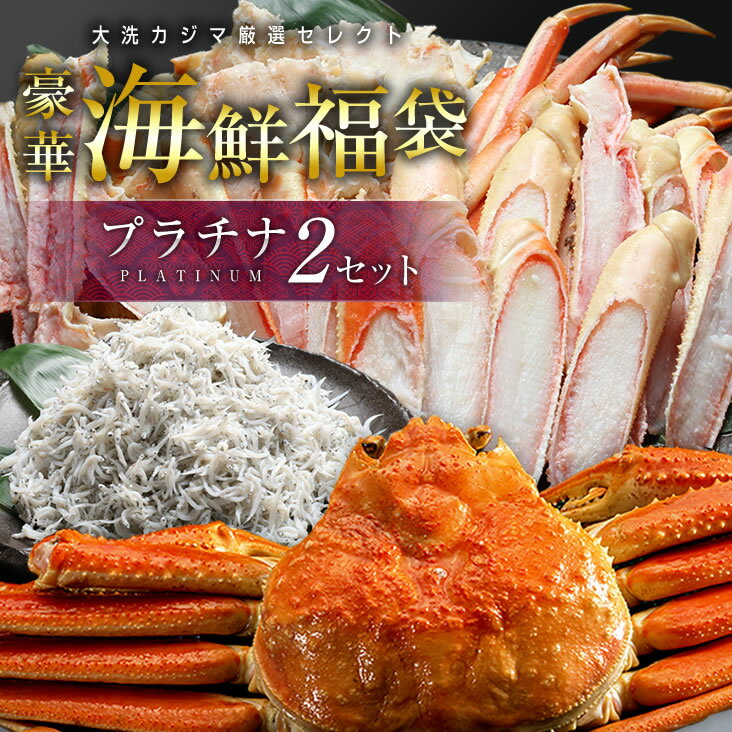 【ふるさと納税】豪華 海鮮 福袋 プラチナ全8品×2セット 