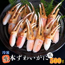 生冷 本ずわいがに 爪 500g×1 カジマ ずわい蟹 ズワイガニ ずわいがに かに カニ 蟹 かに爪 カニ爪 蟹爪