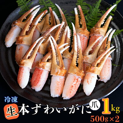 生冷 本ずわいがに 爪 1kg (500g×2) カジマ ずわい蟹 ズワイガニ ずわいがに かに カニ 蟹 かに爪 カニ爪 蟹爪