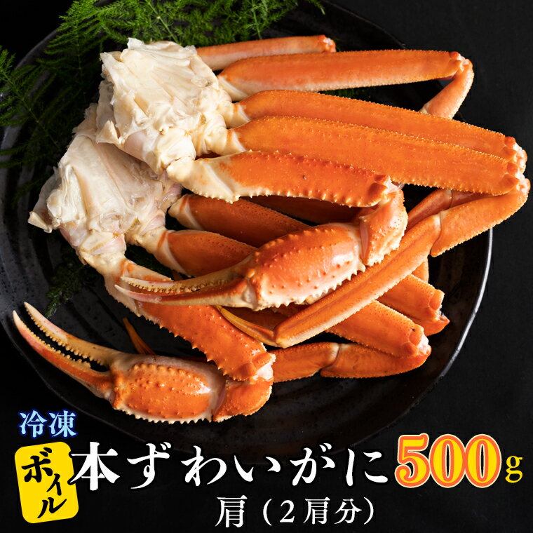 【ふるさと納税】ボイル 本ずわいがに 2肩 500g × 1