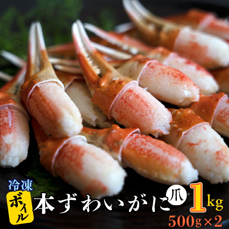 【ふるさと納税】ボイル 本ずわいがに 爪 1kg (500g