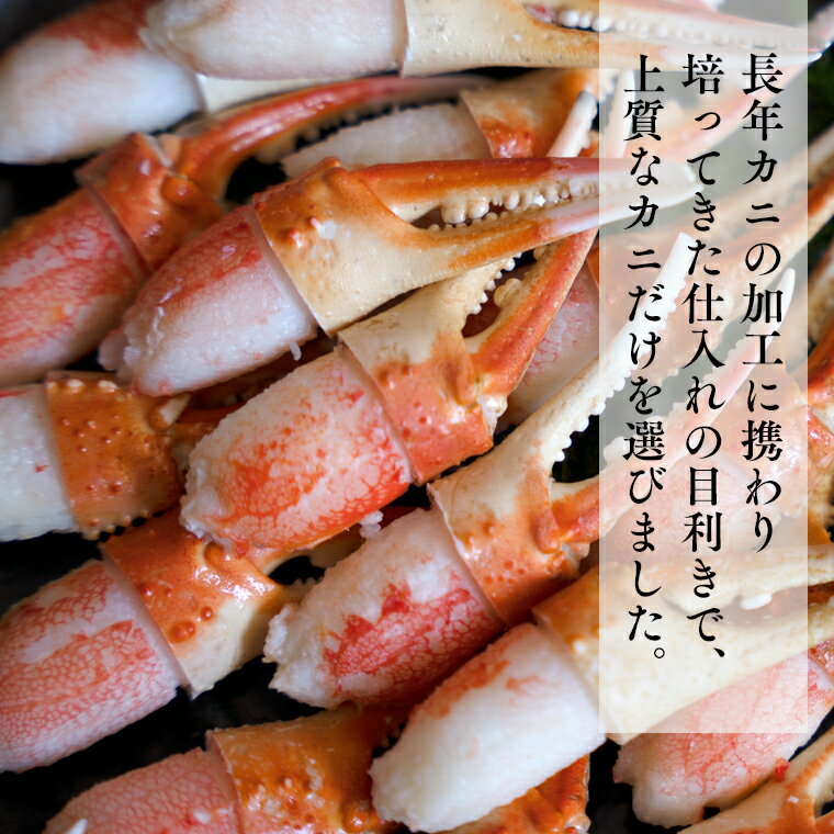 【ふるさと納税】ボイル 本ずわいがに 爪 1kg (500g × 2) カジマ ずわい蟹 ズワイガニ ずわいがに かに カニ 蟹 かに爪 カニ爪