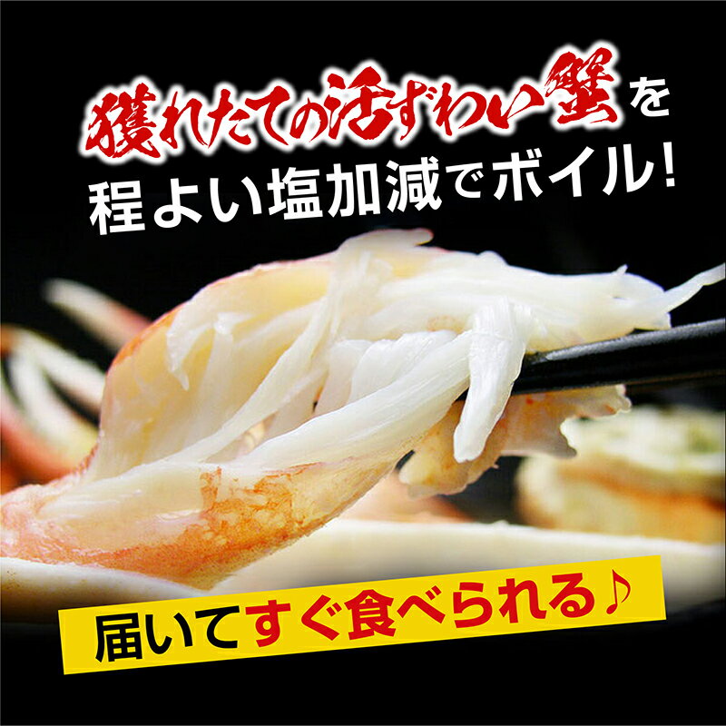 【ふるさと納税】ボイル 本ズワイガニ足 3kg！ カジマ×ますよね！ ズワイガニ ズワイ蟹 ずわい かに かに足 蟹足 足 かに脚 蟹脚 脚 かに鍋 蟹鍋 かにしゃぶ 蟹しゃぶ