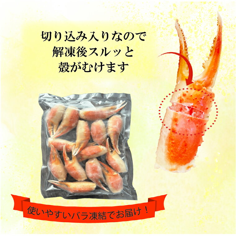 【ふるさと納税】【12月25日決済確定分まで年内発送】ボイル 本ずわいがに 爪 500g×1 カジマ ずわい蟹 ズワイガニ ずわいがに かに カニ 蟹 かに爪 カニ爪