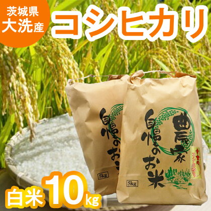 令和5年産 大洗産 コシヒカリ 白米 10kg (5kg×2袋） お米 茨城 精米 こめ 米 茨城県産米