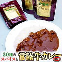 【ふるさと納税】常陸牛 極上カレー 10人前 セット 30種のスパイス 超本格 レトルト食品 カレールー レトルトカレー カレー