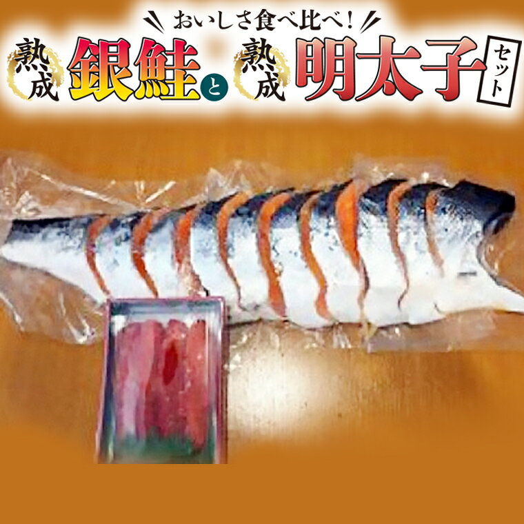 【ふるさと納税】銀鮭半身 明太子（250g） セット 熟成 