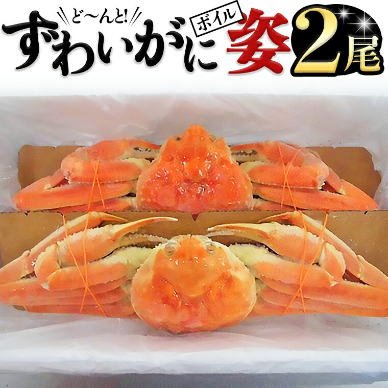 【ふるさと納税】ボイルずわい蟹 姿 600g×2尾 カニ かに 蟹 特大 ズワイガニ 1.2kg ずわいガニ 1200g