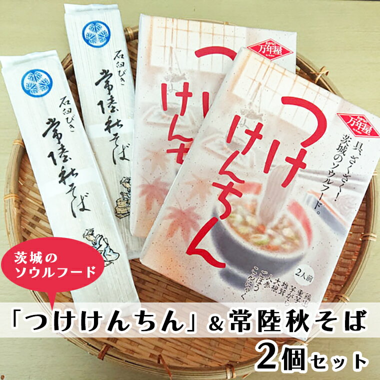 【ふるさと納税】 つけけんちん そば 2人前 ×2個 セット 常陸 秋そば 茨城 郷土料理 蕎麦 けんちん汁