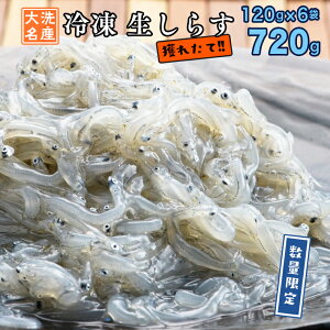 【ふるさと納税】【数量限定】 冷凍 生しらす 720g ( 120g× 6袋 ) 冷凍 天然 生 シラス 大洗 特産 魚 さかな 魚介
