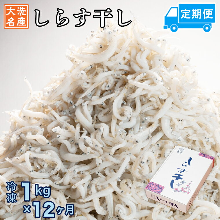 【ふるさと納税】定期便 しらす干し (1kg×12か月) 天然 ふっくら 大洗 名産 しらす シラス 魚 さかな ..