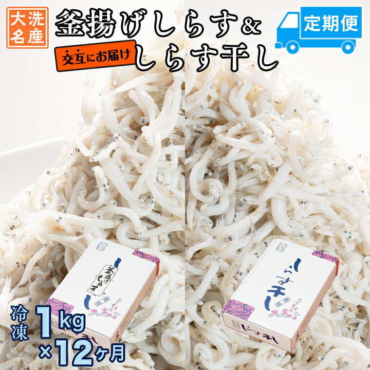 56位! 口コミ数「0件」評価「0」釜揚げしらす しらす干し 交互 定期便 (1kg×12か月) 天然 ふっくら 大洗 名産 しらす シラス 魚 さかな 魚介 離乳食