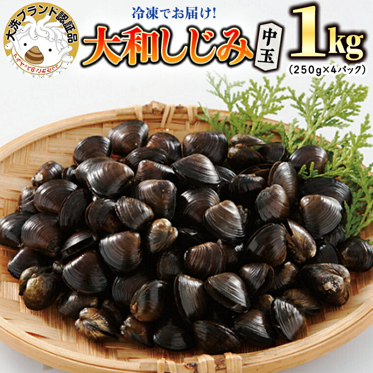 【ふるさと納税】大和 しじみ 1kg (250g×4) 中玉