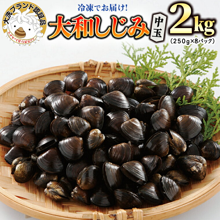 【ふるさと納税】大和 しじみ 2kg (250g×8) 中玉 冷凍 砂抜き済 大洗町 ブランド認証品 三大産地 涸沼...