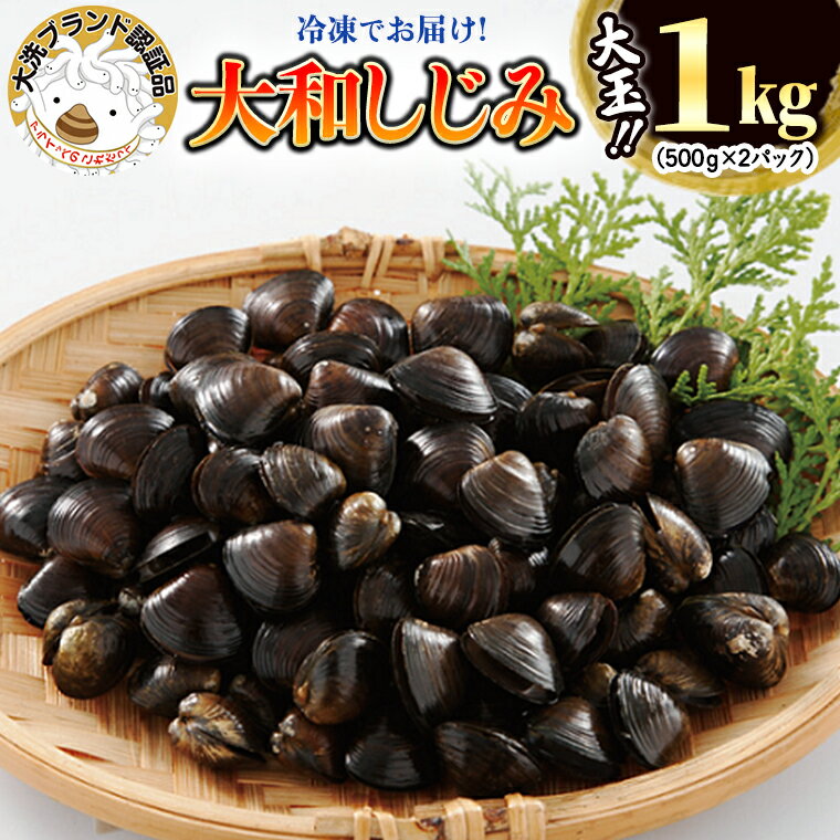 【ふるさと納税】大和 しじみ 1kg (500g×2) 大玉