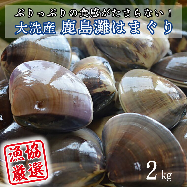 砂抜き不要！肉厚ジューシーうま味成分たっぷりのハマグリです♪ 大洗・鹿島灘・波崎の3漁協が中心となり、「鹿島灘はまぐり」と命名した純国産はまぐりで、茨城を代表する魚介類のひとつです。 はまぐりには、うま味成分であるコハク酸が豊富。地元では味噌汁、焼きはま、酒蒸しなど。味噌汁を作るときは、水から煮出すことがポイント！！ 焼きはまは、焼きすぎないことがポイントです。お肉の代わりにはまぐりを使った「はまぐりカレー」も贅沢な一品です。 砂抜き処理をしてお届けしますので、ご家庭ですぐに調理できますよ♪ 肉厚でジューシーなはまぐりをぜひご堪能ください。 ※はまぐり漁は資源管理のため、月に1、2度行われますが、天候等により漁ができず発送が遅れる場合がございますのであらかじめご了承ください。 ※海の状況により、漁ができない場合はお届けまで2〜3ヶ月程度お時間をいただく場合がございます。 ※はまぐりは加熱調理してお召し上がり下さい。 ※本製品は、発送前に砂抜き処理をしておりますが、まれに砂を含んでいる場合がございます。 ※消費期限に関わらず、到着後なるべくお早めにお召し上がりください。 商品説明 名称 大洗産鹿島灘天然はまぐり 2kg 冷蔵 お吸い物 ハマグリ 蛤 貝 砂抜き処理 魚介類 大洗産 天然 はまぐり 内容量 大玉(8～10個)　2kg 中玉(16～20個)　2kg 小玉(24～32個)　2kg 賞味期限 到着後冷蔵で3日、冷凍で1週間 ※消費期限に関わらず、到着後なるべくお早めにお召し上がりください。 申込期日 通年 日時指定 不可 配送 冷蔵配送 入金確認後、1ヶ月以内で発送いたします。 （海の状況により、漁ができない場合はお届けまで2〜3ヶ月程度お時間をいただく場合がございます。） ※クール便対象 配送できない地域がございます※ 　・北海道・島根県（松江市、安来市）・広島県（福山市）・鳥取県・岡山県・山口県 　・徳島県・香川県・愛媛県・高知県 　・福岡県・佐賀県・長崎県・大分県・熊本県・宮崎県・鹿児島県・沖縄県 　・伊豆諸島：青ヶ島村（青ヶ島）・利島村（利島）・御蔵島村（御蔵島）・式根島 　・小笠原諸島：小笠原村（父島・母島・硫黄島・南鳥島など） 事業者 大洗町漁業協同組合 ふるさと納税よくある質問はこちら 寄付申込みのキャンセル、返礼品の変更・返品はできません。あらかじめご了承ください。大洗産鹿島灘天然はまぐり 2kg 冷蔵 お吸い物 ハマグリ 蛤 貝 砂抜き処理 魚介類 大洗産 天然 はまぐり 寄附金の使い道について 町長が必要と認める事業（町におまかせ） 海と緑の保全と活用に関する事業 伝統文化の継承や文化財の保護活動に関する事業 人材育成に関する事業（教育を含む） スポーツの振興や健康増進に関する事業 漁業や観光などの地場産業の振興に関する事業