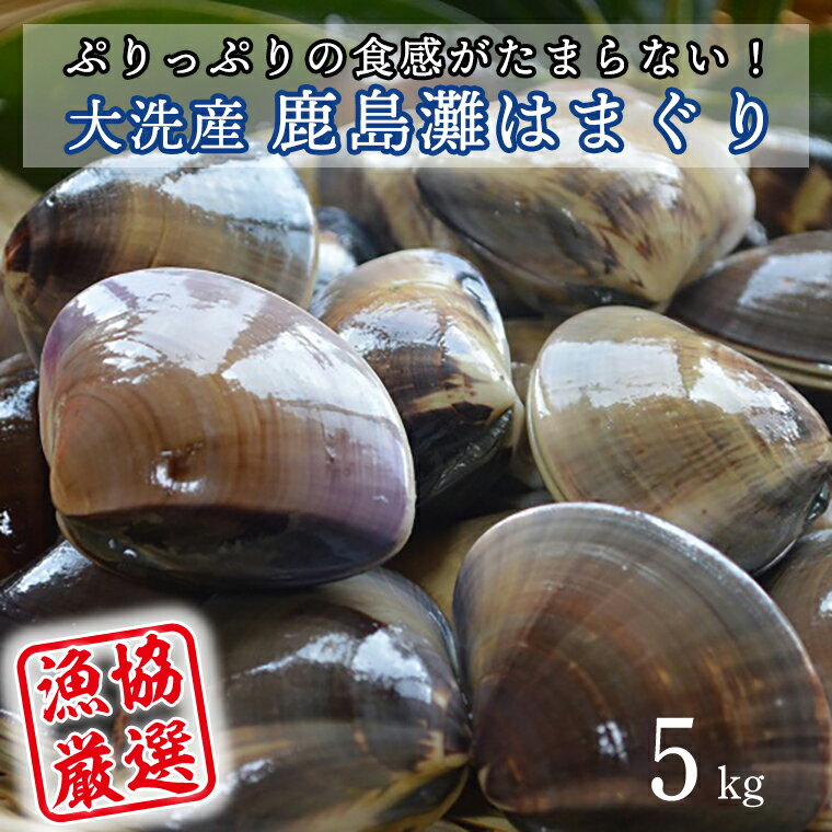 【ふるさと納税】 大洗産鹿島灘天然はまぐり 5kg 冷蔵 お